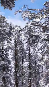 雪山雪景