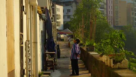 夕阳下小巷一角/平静安宁