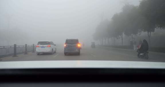 大雾 天气 开车 雾天 恶劣天气 严寒