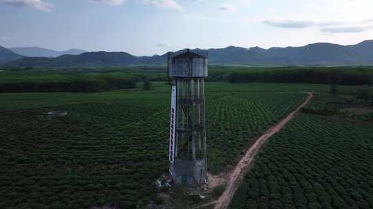 茶场水塔航拍视频素材模板下载