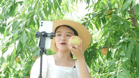 无锡阳山水蜜桃视频素材模板下载