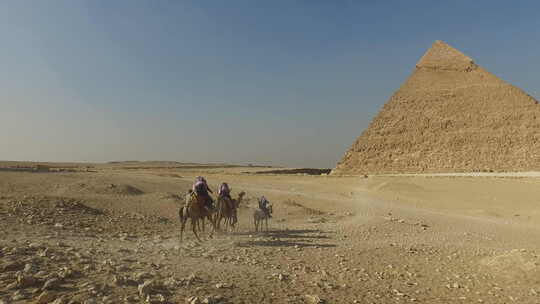 游客骑马和骆驼经过吉萨金字塔