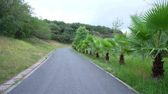 武汉江夏区藏龙岛国家湿地公园