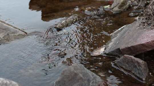 万物复苏 水流 水 河流