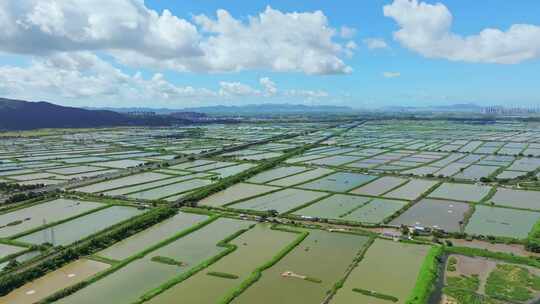 4k广东高速农业渔业养殖鱼塘蓝天白云航拍