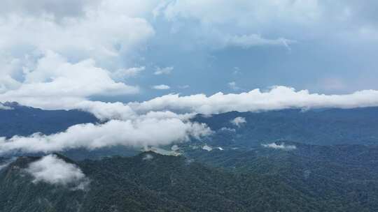 海南乐东县尖峰岭国家森林公园热带雨林