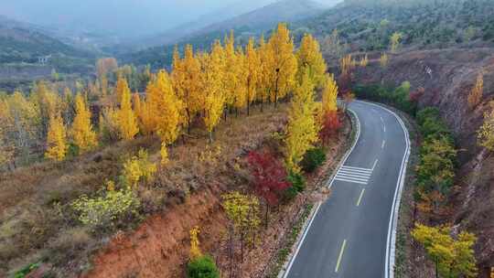 金色秋天旅游公路风景航拍