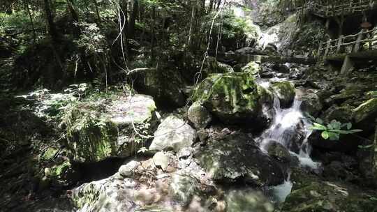 浙江温州泰顺县乌岩岭白天山涧流水高清在线视频素材下载