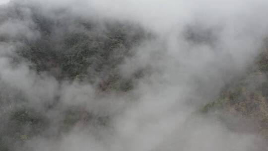 航拍重庆大巴山冬季雪山冰雪风光雪景