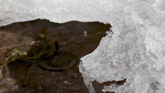 冰块融化水滴水流视频素材模板下载