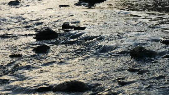 小溪水流湍急石块流水