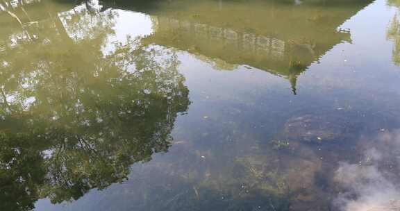 水面倒影 树木倒影 湖泊 古建筑倒影