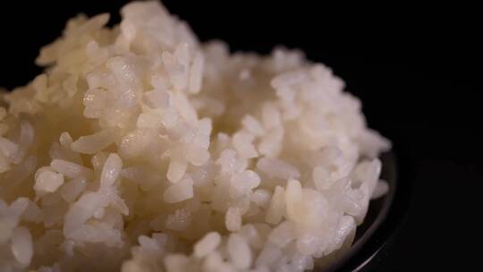 主食水稻大米饭