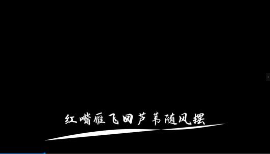 《苹果香》mv歌词AE带通道歌词模板高清AE视频素材下载