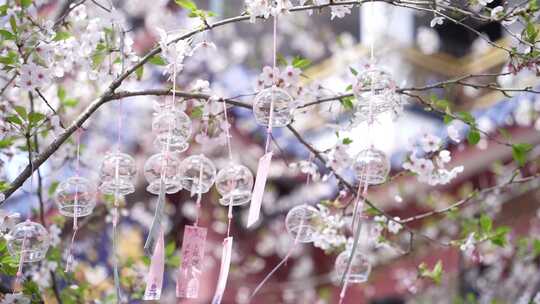 樱花风铃