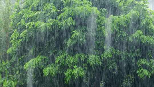 古建筑狂风暴雨