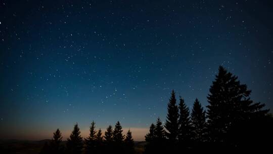 森林里宁静的夜晚星空