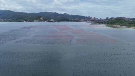 渔民海上海鲜养殖水产航拍