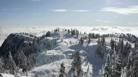 航拍雪山上滑雪的人