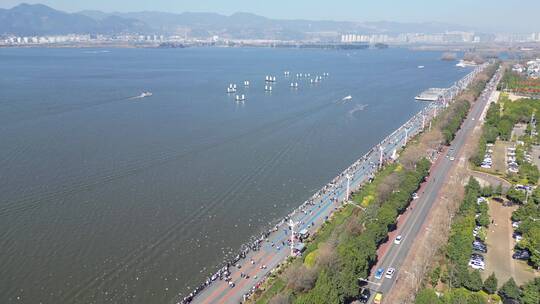 昆明海埂大坝喂海鸥航拍风光