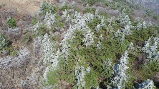 杭州临安浙西天池江南雾凇雪景航拍