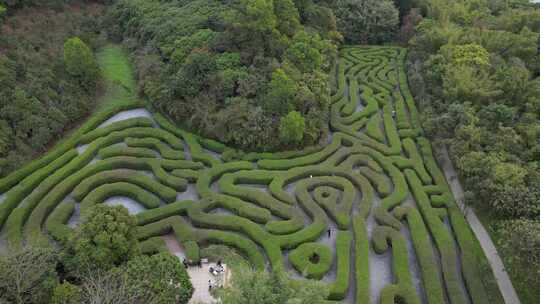 航拍东莞大屏障森林公园的植物迷宫