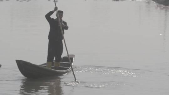 渔民养殖野鸭LOG视频素材模板下载