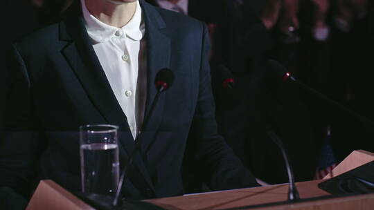 女政治家参与总统竞选