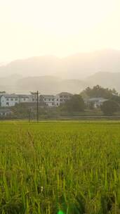 湖南乡村田园自然风光