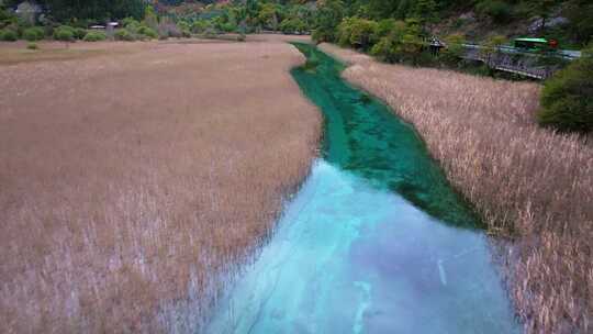 唯美航拍川西九寨沟芦苇海河流湿地湖水彩林