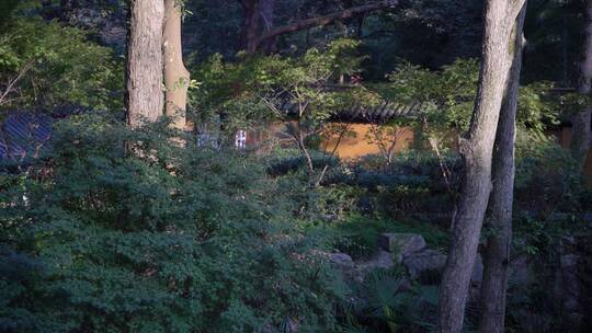 杭州飞来峰永福寺禅院风景