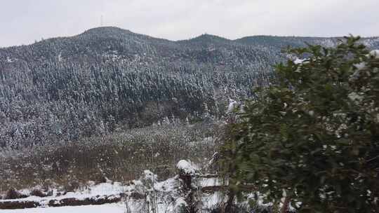 冬天车窗外冬天雪景实拍