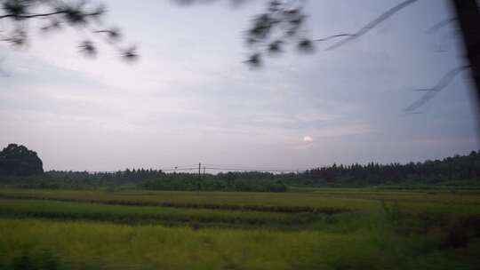 汽车窗外移动风景侧窗天空风景电线路灯树林