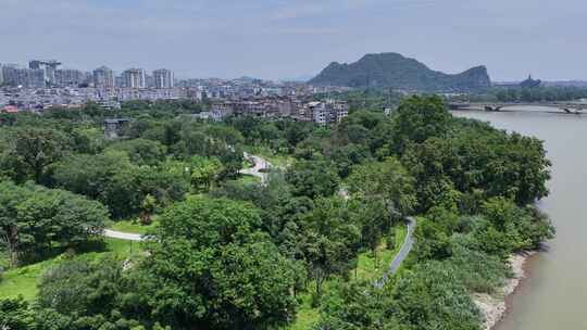 城市河畔绿树成荫全景