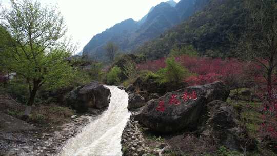 高岚大峡谷风景区·打卡桃花岛