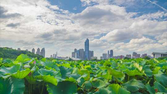 武汉城市地标天际线风光