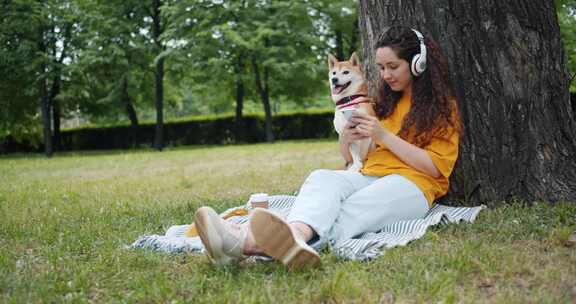 柯基犬、狗、宠物、电话