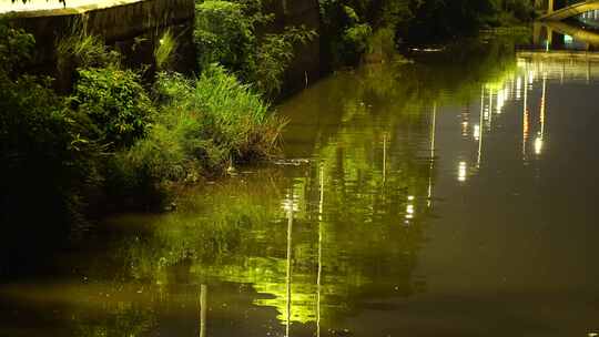 夜晚路边河边水面路灯倒影