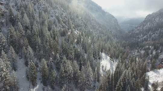 雪淞雾凇森林雪景 白茫茫长白山雪景