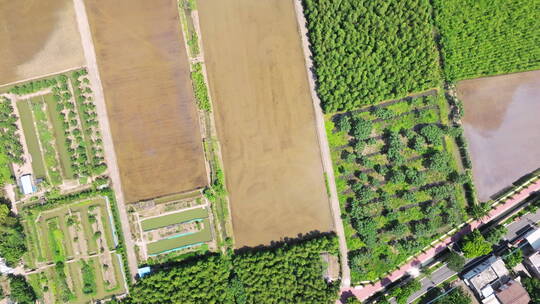 乡村振兴宣传空镜稻田村居旅游产业