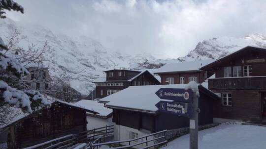 美丽的大自然冬天 高山森林树林雪景特写