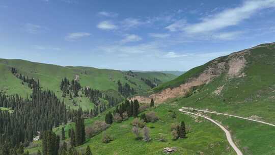 蜿蜒在恰西草原的山间道路 新疆伊犁美景