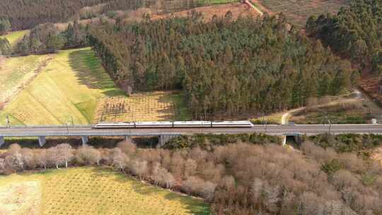 火车在高架轨道上穿越乡村景观的鸟瞰图。多莉左