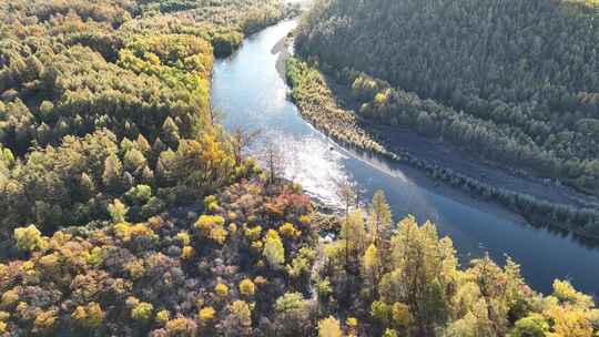 大兴安岭金秋森林河湾风景