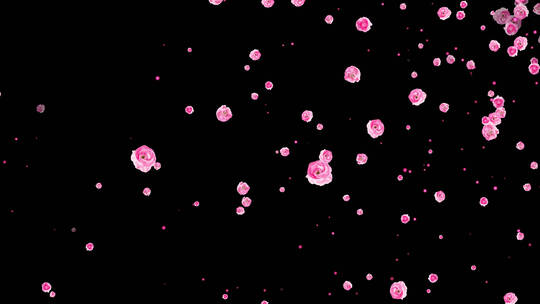 4K粉红花朵粒子飘扬通道视频-循环2
