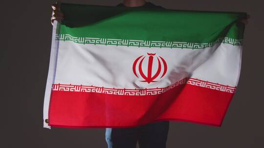 手持伊朗国旗的球迷