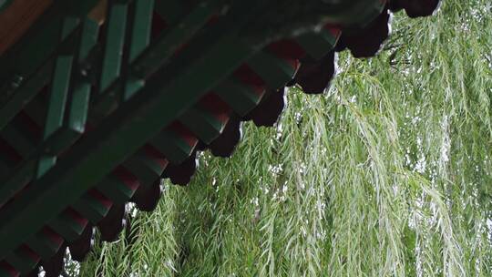 古建筑屋檐雨滴