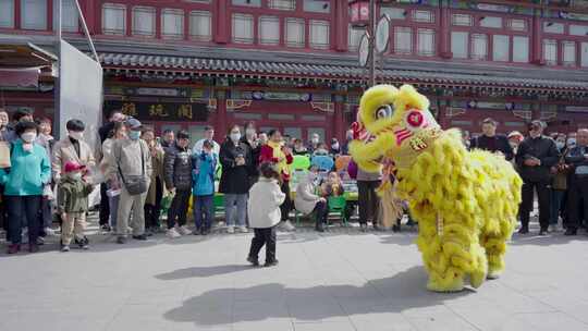 舞狮子和小孩玩闹视频素材模板下载