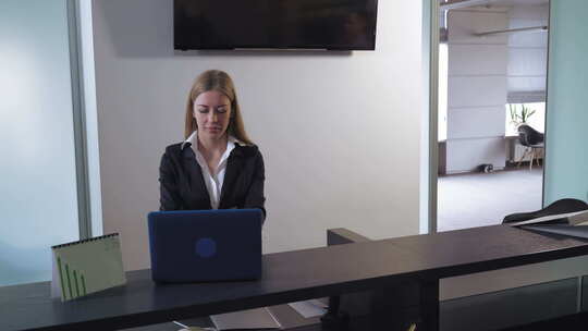 经理与客户交谈。