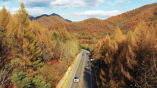 东北秋季山林公路日落美丽景色航拍风光